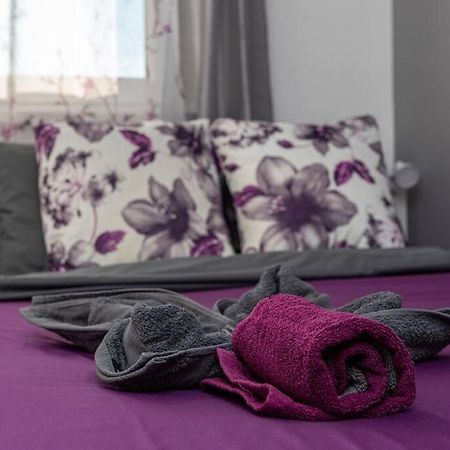 Spacious And Bright Flat Between Airport & Center Leilighet Budapest Eksteriør bilde